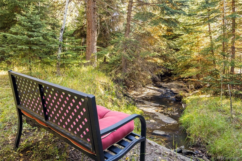 32217 Buffalo Park Rd, Evergreen, CO 80439