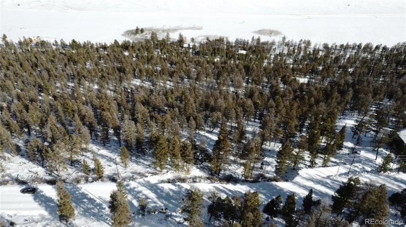 1348 Middle Fork Vi, Fairplay, CO 80440