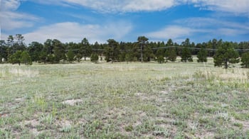 11809 Flap Jack Ln, Colorado Springs, CO 80908