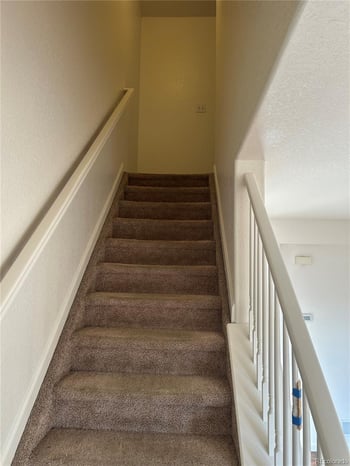 1497 Willow Oak Rd, Castle Rock, CO 80104