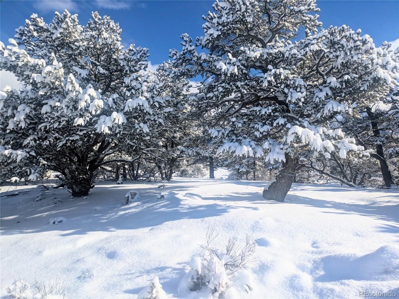 0 Lone Pine Way, Crestone, CO 81131