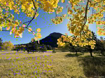 1965 Vagabond Creek Dr, Lake George, CO 80827