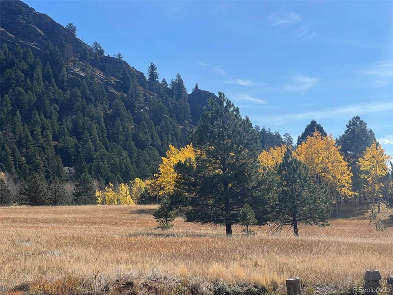 1965 Vagabond Creek Dr Lot 9, Lake George, CO 80827