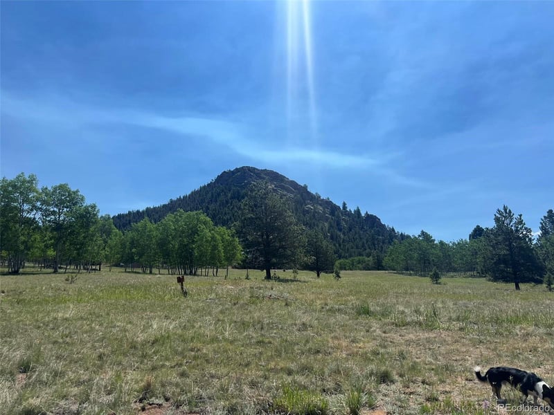 1965 Vagabond Creek Dr Lot 9, Lake George, CO 80827