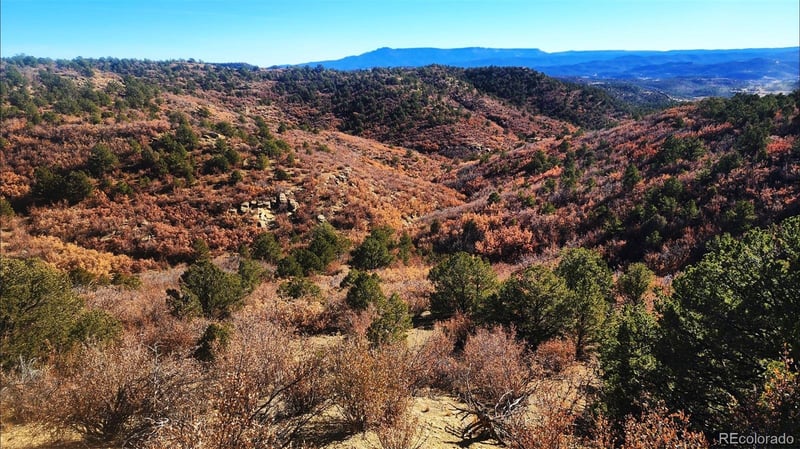 11298 Primero Ranch, Trinidad, CO 81082