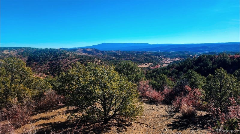 11298 Primero Ranch, Trinidad, CO 81082