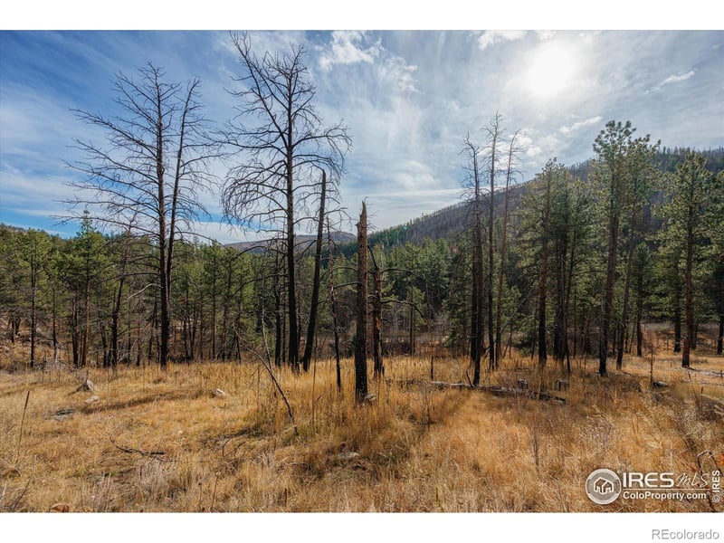 0 Cougar Cir Ct, Bellvue, CO 80512
