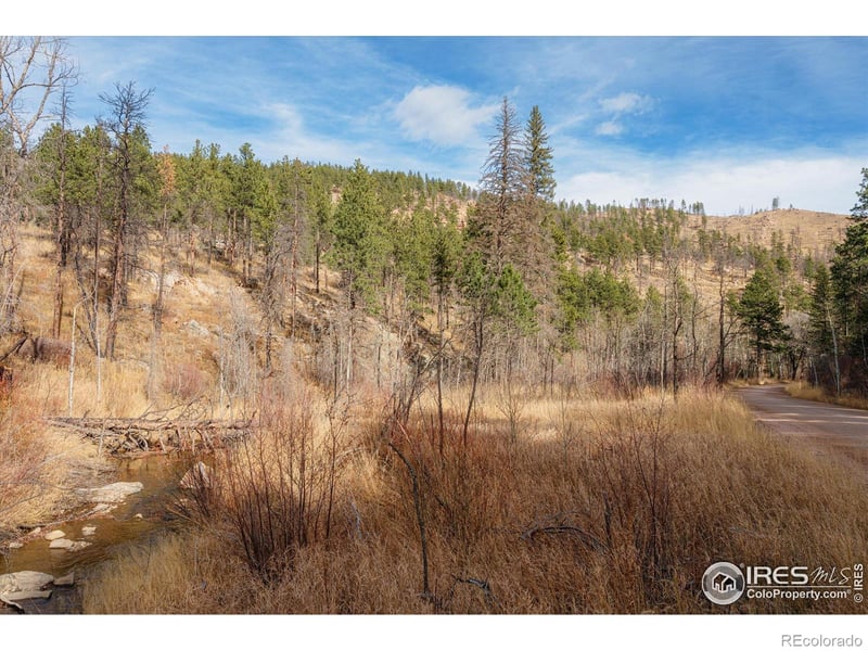 0 Cougar Cir Ct, Bellvue, CO 80512