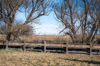 12380 Irma Dr, Thornton, CO 80241