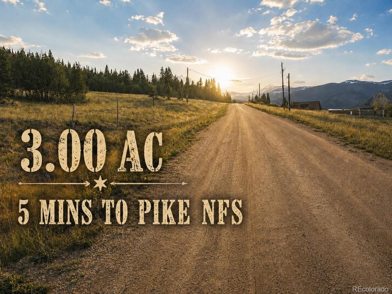 1327 Michigan Hill Rd, Jefferson, CO 80456