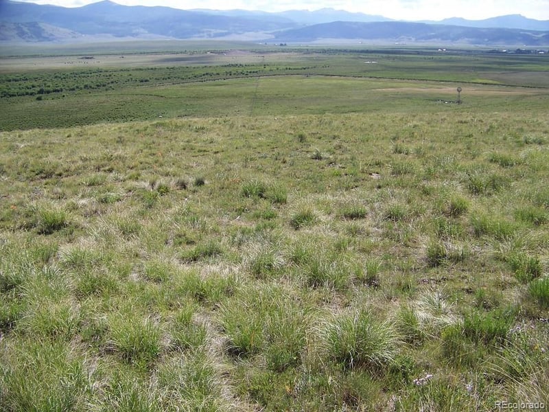 1327 Michigan Hill Rd, Jefferson, CO 80456