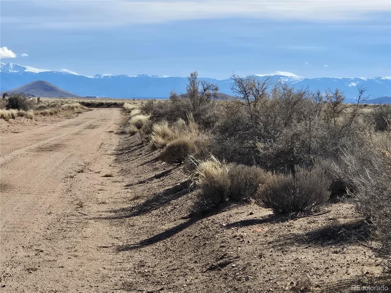 Lot 14 Traves Rd, Blanca, CO 81123