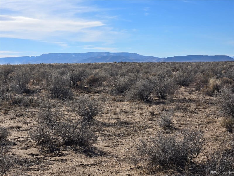 Lot 14 Traves Rd, Blanca, CO 81123