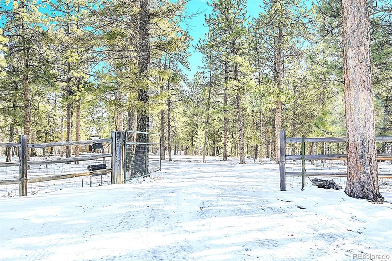 270 Dawson Rd, Pine, CO 80470