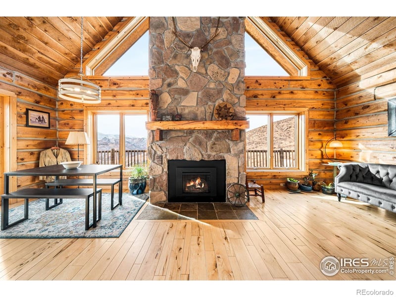 113 Purple Mountain Ct, Livermore, CO 80536