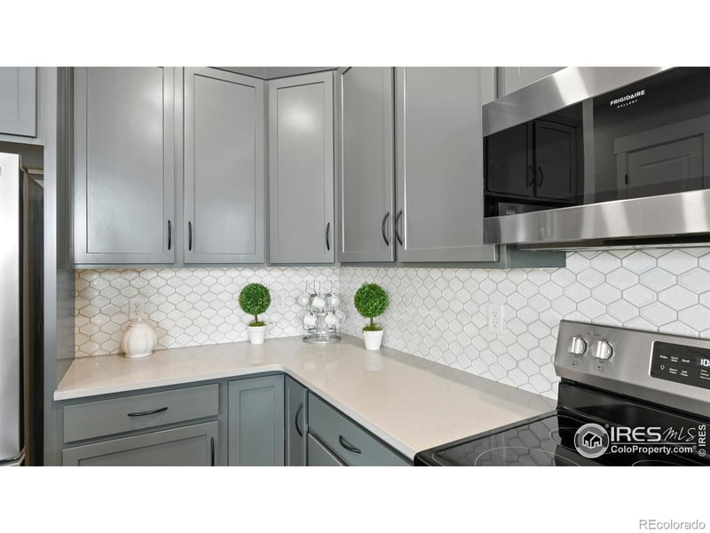 6233 Vernazza Way #4, Windsor, CO 80550