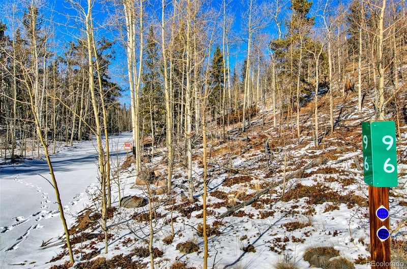 96 Dead Toad Rd, Alma, CO 80420