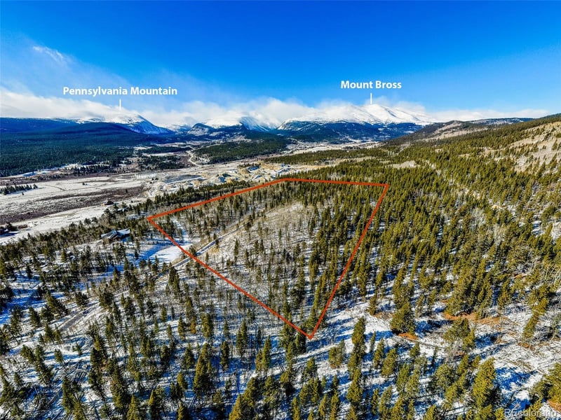 96 Dead Toad Rd, Alma, CO 80420