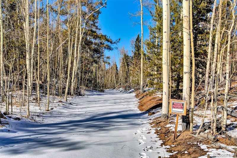 96 Dead Toad Rd, Alma, CO 80420