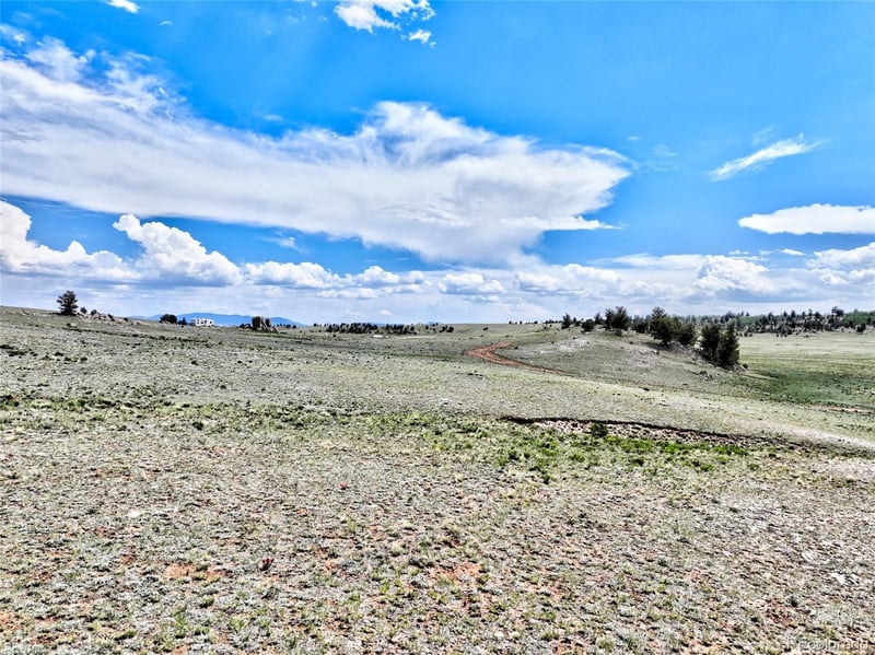 656 Ute Tc, Lake George, CO 80827