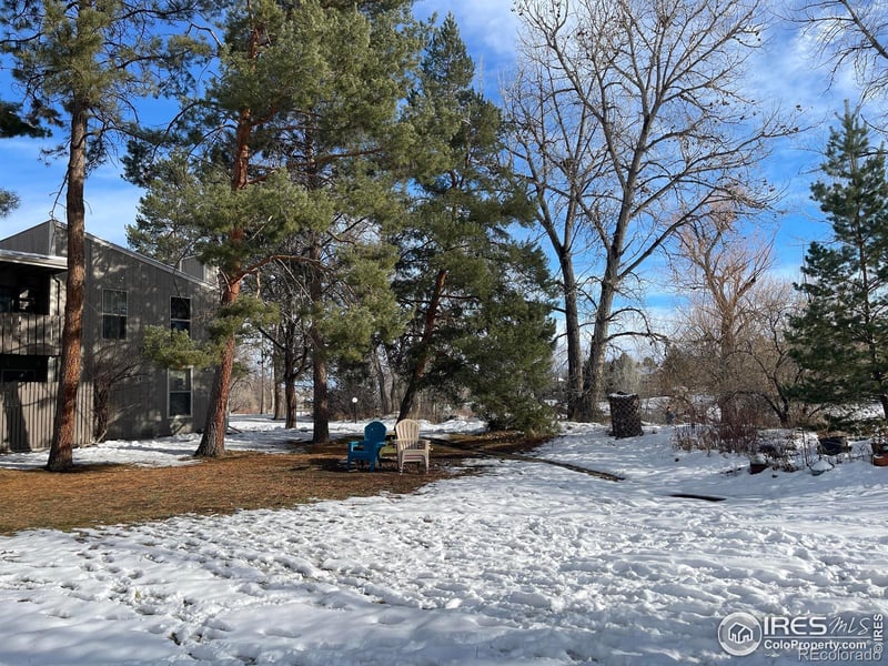 8060 Niwot Rd #66, Niwot, CO 80503