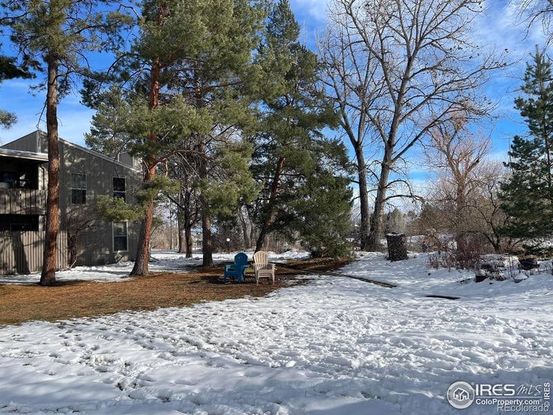 8060 Niwot Rd #66, Niwot, CO 80503