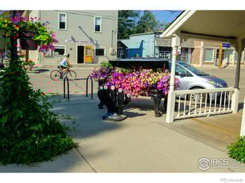 8060 Niwot Rd #66, Niwot, CO 80503