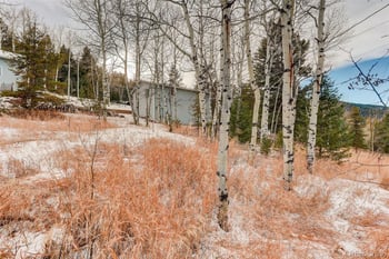 20543 Cypress Dr, Morrison, CO 80465