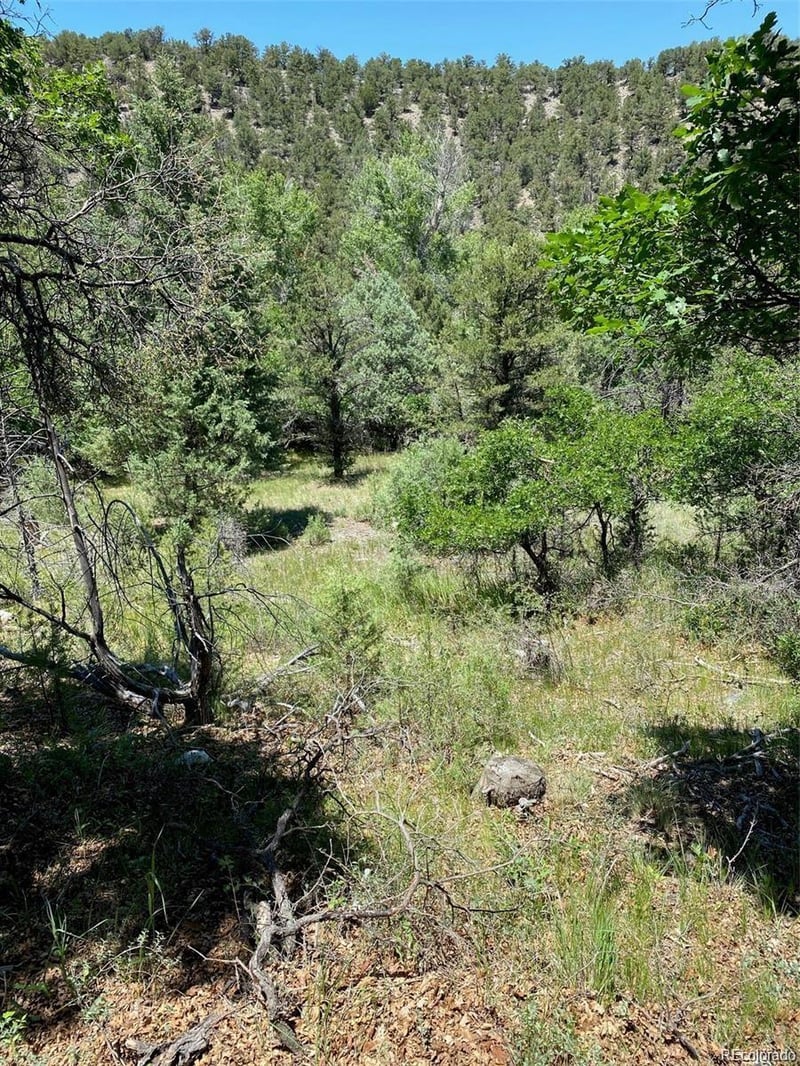 779 County Road 48, Howard, CO 81233