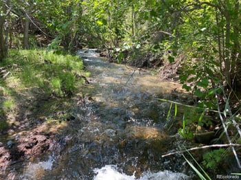 779 County Road 48, Howard, CO 81233