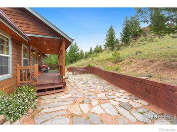 241 Deadhorse Mountain Ct, Livermore, CO 80536