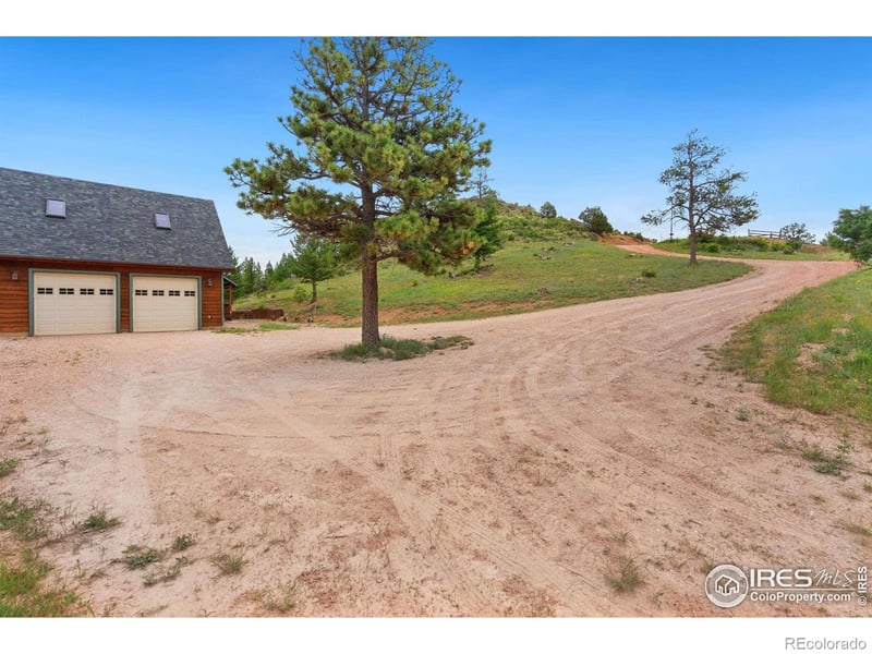 241 Deadhorse Mountain Ct, Livermore, CO 80536