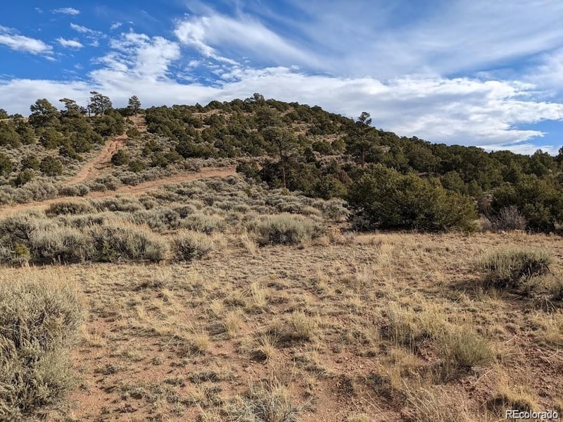 4389 Beekman Rd, Fort Garland, CO 81133