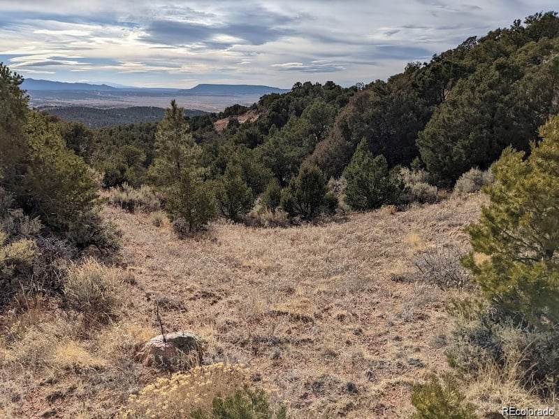4389 Beekman Rd, Fort Garland, CO 81133