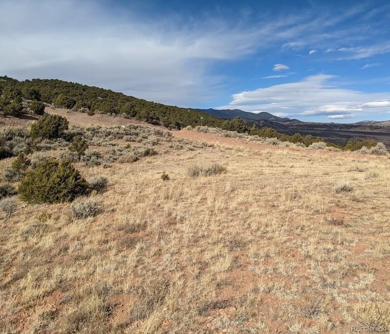 4389 Beekman Rd, Fort Garland, CO 81133