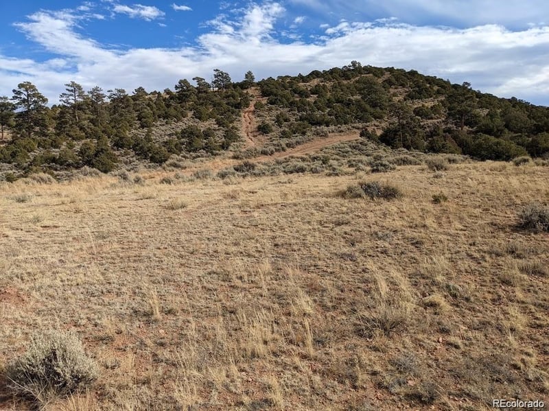 4389 Beekman Rd, Fort Garland, CO 81133