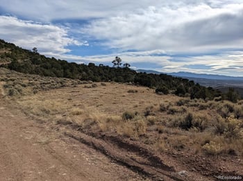 4389 Beekman Rd, Fort Garland, CO 81133