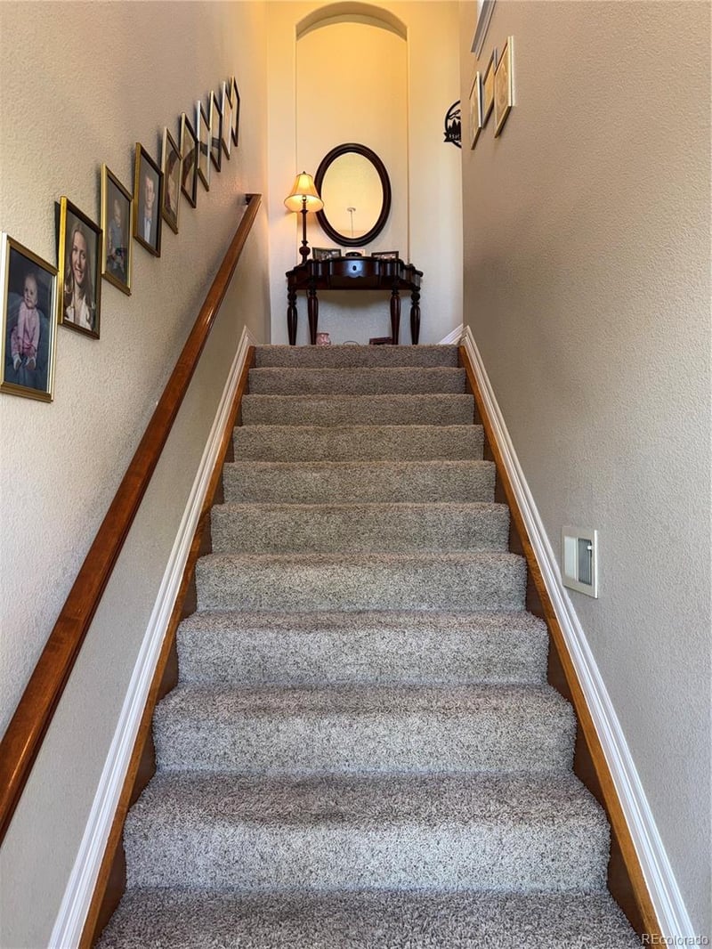 10064 Bluffmont Ct, Lone Tree, CO 80124