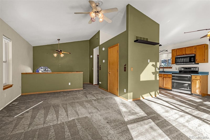 315 Gunnison Ave, Woodland Park, CO 80863