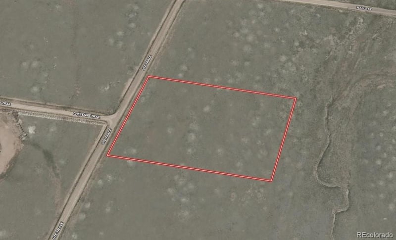 936 Ute Tc, Hartsel, CO 80449