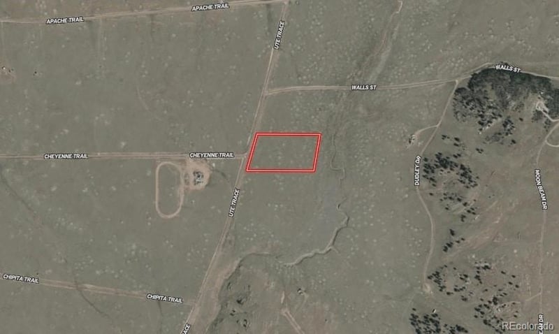 936 Ute Tc, Hartsel, CO 80449