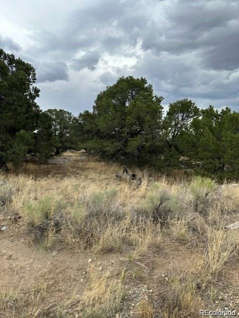110 Indian Hill Rd, Mosca, CO 81146