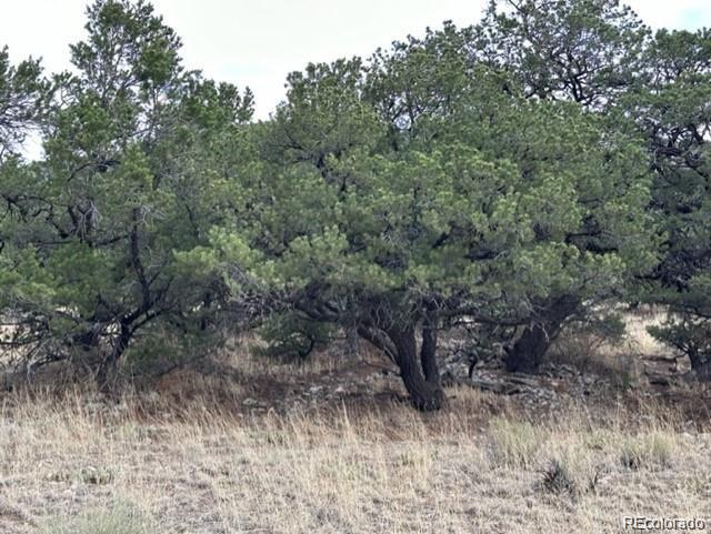 110 Indian Hill Rd, Mosca, CO 81146