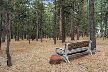 20175 Wissler Ranch Rd, Colorado Springs, CO 80908