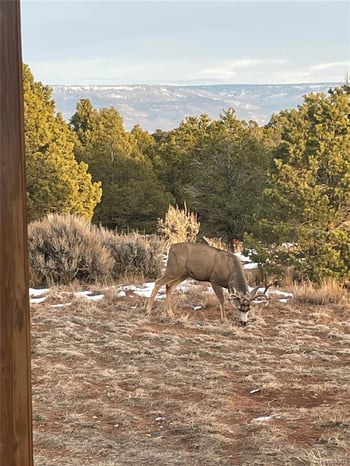 2601 21 1/2 Rd, Glade Park, CO 81523