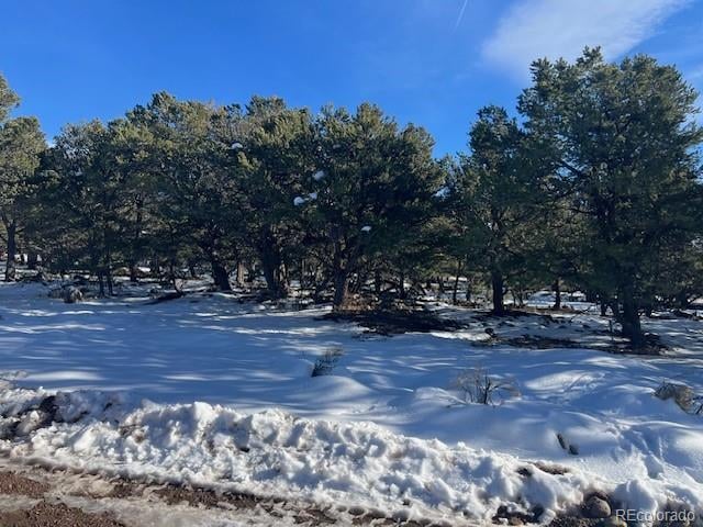3952 Cheerful Pl, Crestone, CO 81131