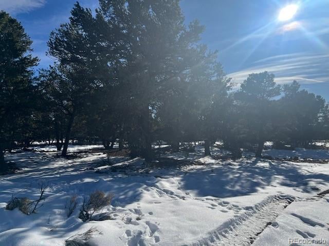 3952 Cheerful Pl, Crestone, CO 81131
