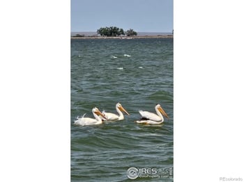 77 Chippewa Cir, Weldona, CO 80653