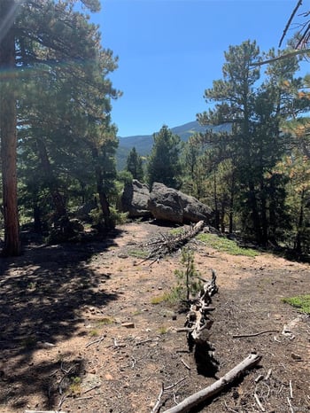 32764 Lodgepole Cir, Evergreen, CO 80439