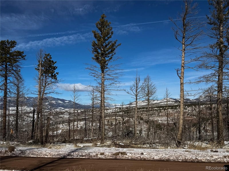 LOT 591 Leslie Loop, Fort Garland, CO 81133
